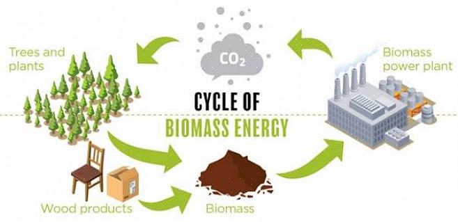 Combustível de biomassa pode ser convertido diretamente em energia térmica por meio da combustão