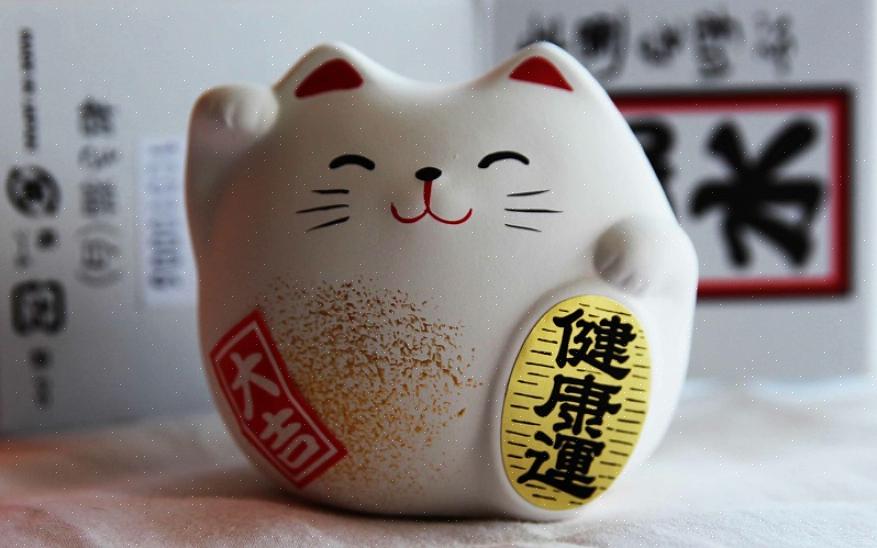 O gato da sorte é uma cura que vem da cultura japonesa