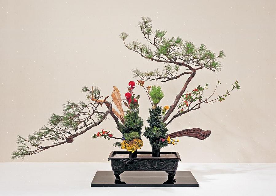 A arte do ikebana pode converter pessoas que antes pensavam que os arranjos de flores eram muito exigentes