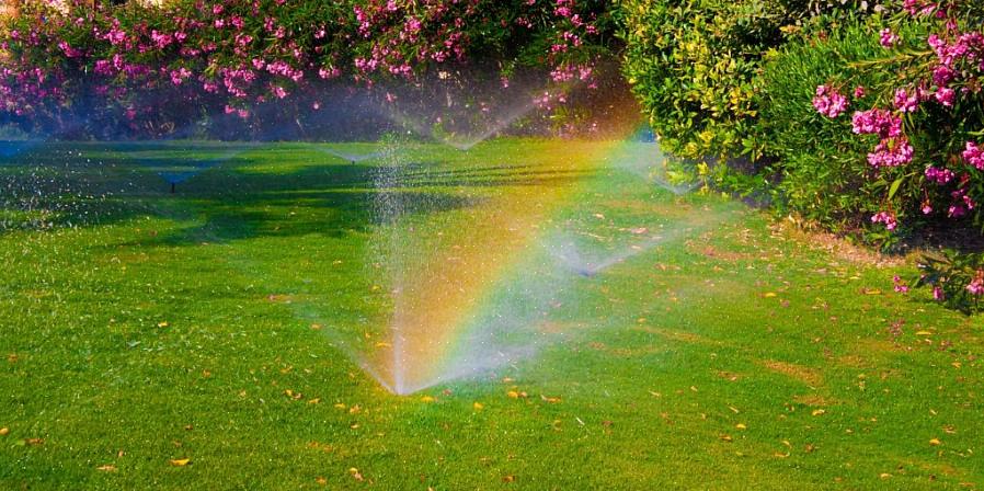 Olhe dentro das caixas de válvula do sistema de sprinkler ao redor do quintal