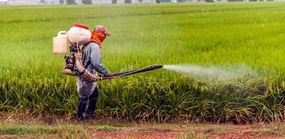 Os pesticidas usados dentro