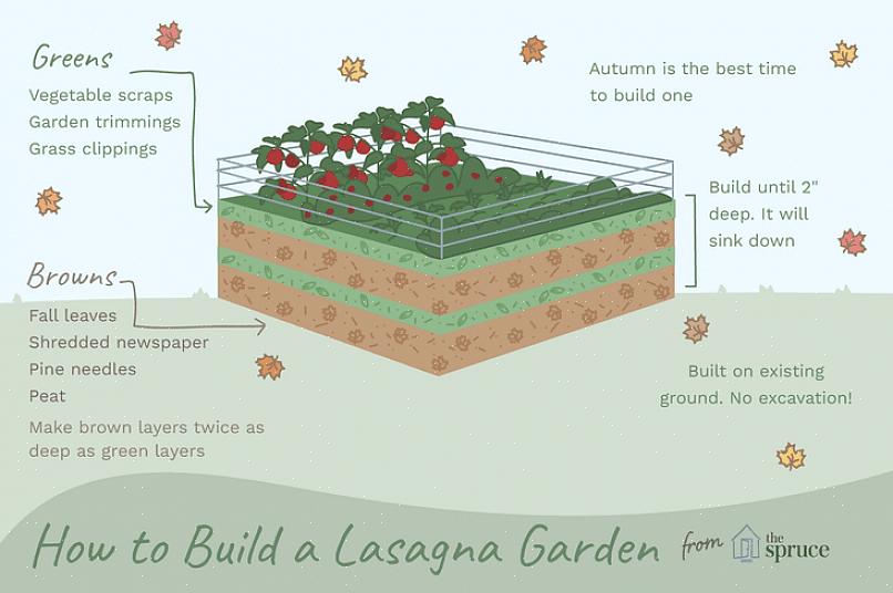 Visão geral A jardinagem com lasanha é um método de plantio direto