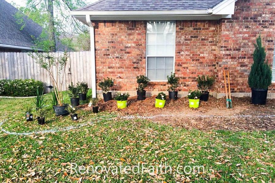 Jardins laterais com um pouco mais de espaço também podem ser ótimos lugares para plantas perenes com flores