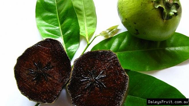 Tive a sorte de experimentar um sapote preto