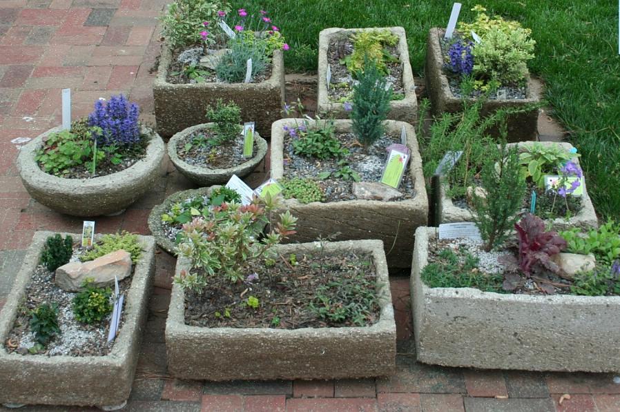 A Hypertufa foi inventada para uso em jardins alpinos