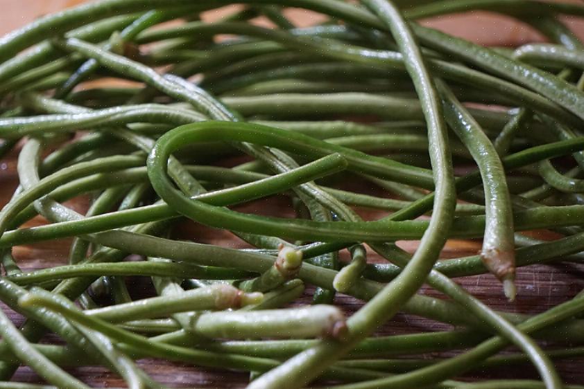 Eles são o feijão tradicionalmente usado para o prato de feijão verde chinês oferecido em muitos menus