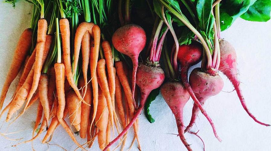 Todos os vegetais de raiz precisam de espaço para preencher