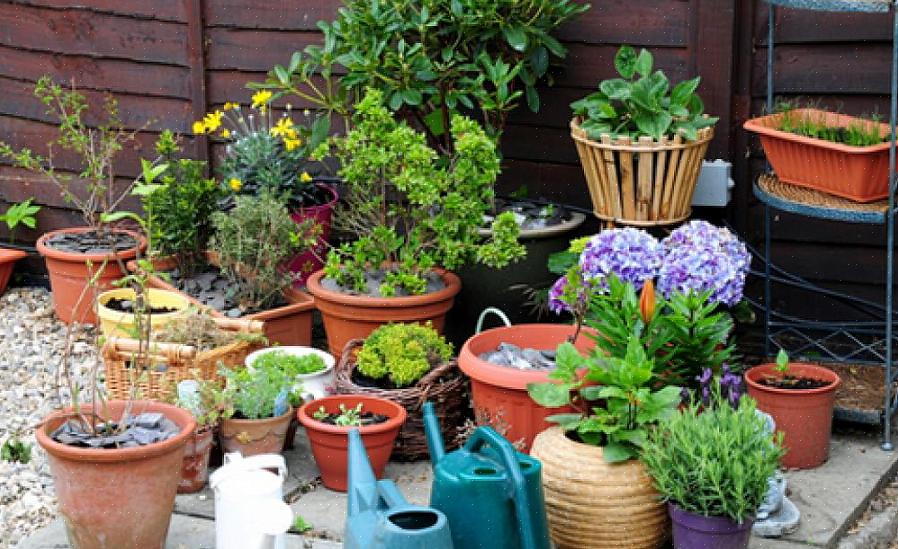 Permitindo o cultivo de plantas que podem não ser adequadas ao solo natural do seu jardim