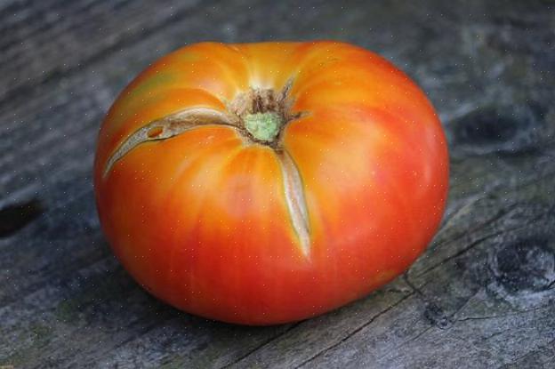 Csikos botermo - Aqui está um tomate doce em cacho com lindas listras amarelas na casca vermelha