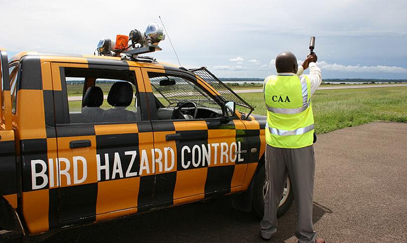 Existem três maneiras gerais de minimizar o impacto de pássaros em aviões