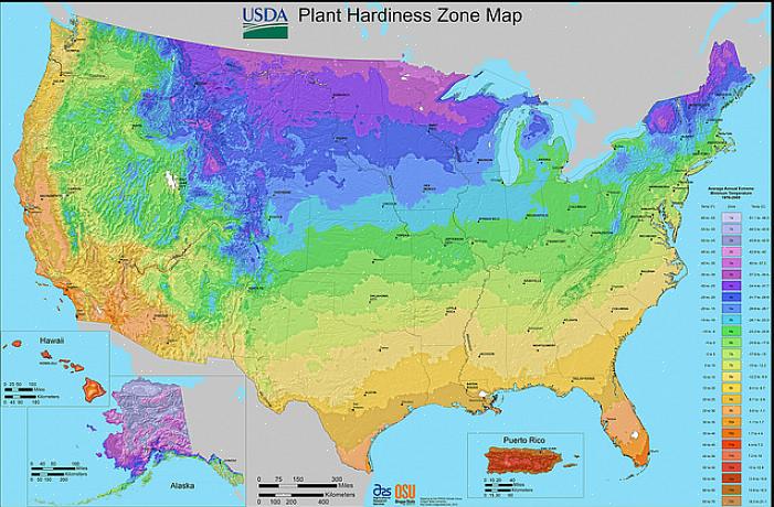 Se você não tiver certeza de quais plantas irão prosperar em sua localização particular na Carolina do Norte