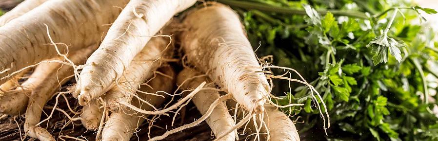 É ainda mais fácil cultivar pastinaga do que crescer seu primo próximo