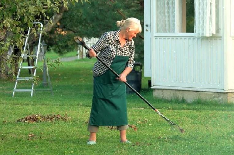 Jardinagem realmente é um bom exercício