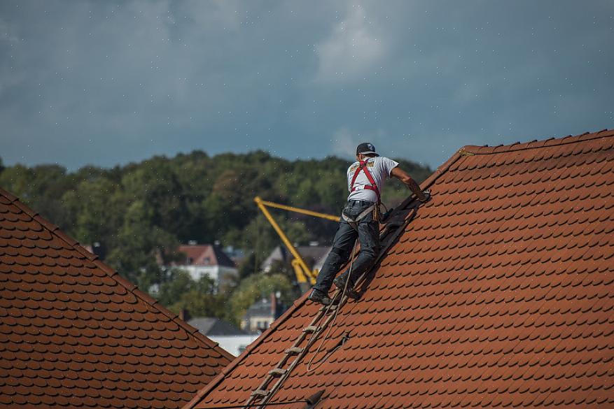 Água parada pode fazer com que eles caiam