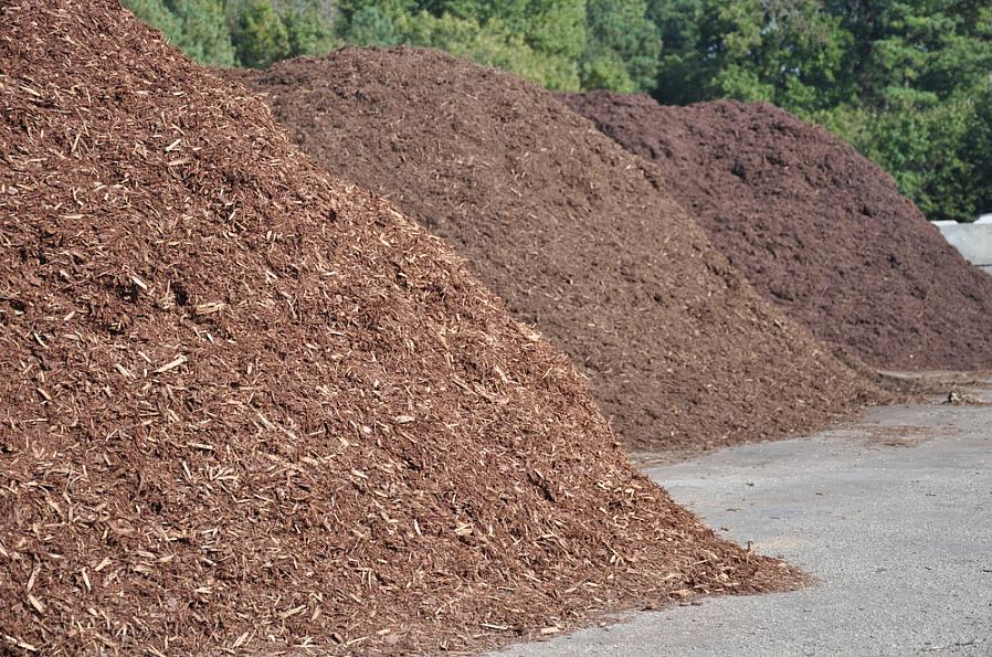 Solo de jardim e uma mistura de composto / solo