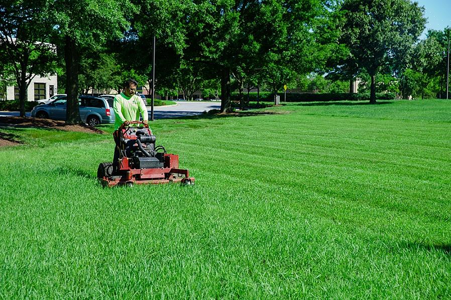 Eu rapidamente fico para trás nas minhas tarefas de manutenção paisagística