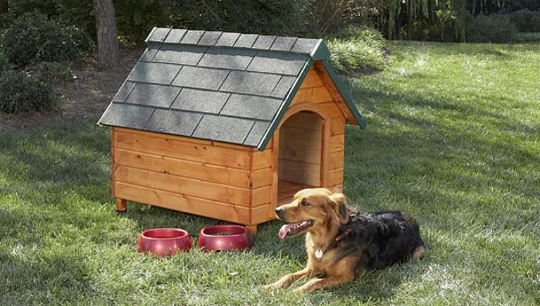 Esta casa de cachorro emula uma casa de estilo colonial clássico