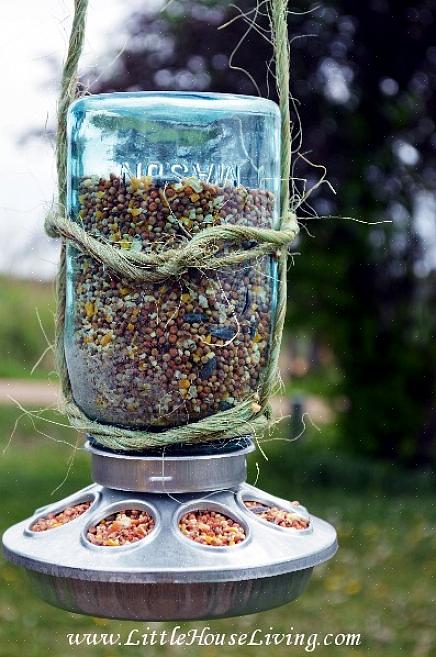 Limpando um alimentador de beija-flor de pote de comida para bebê