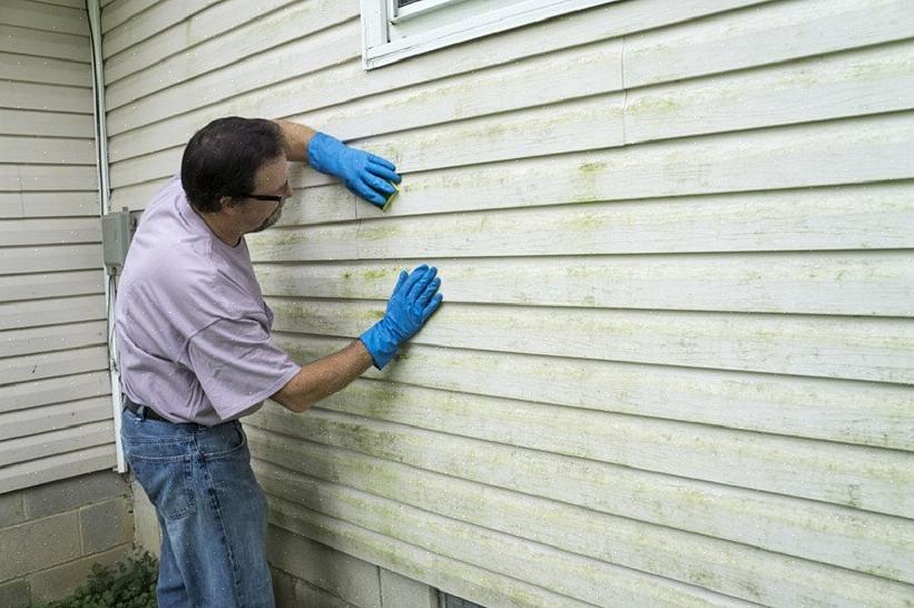 Pinte as superfícies limpas ou com primer com uma camada uniforme de tinta externa