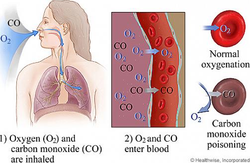 O monóxido de carbono é um gás inodoro