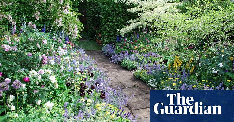 O esquema de cores em nosso canteiro de flores de amostra é criado com plantas com flores azuis