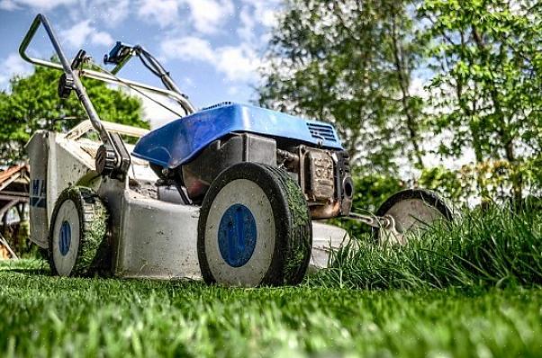 Outra tarefa desagradável na limpeza de jardins de primavera é a eliminação de dejetos de cães