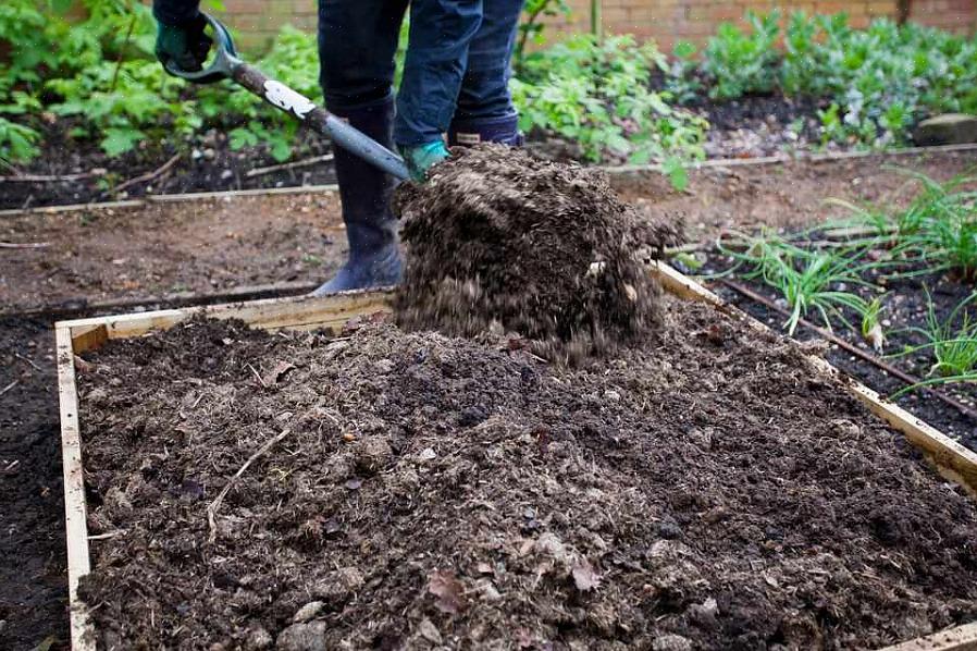 O estrume animal é um material orgânico frequentemente usado para melhorar o solo do jardim