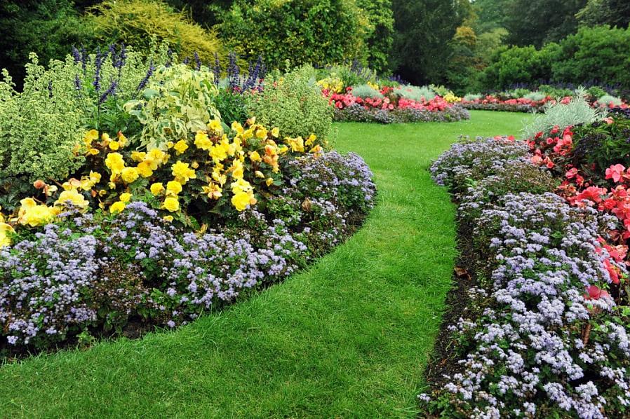 Paisagismo com orçamento limitado com plantas baratas