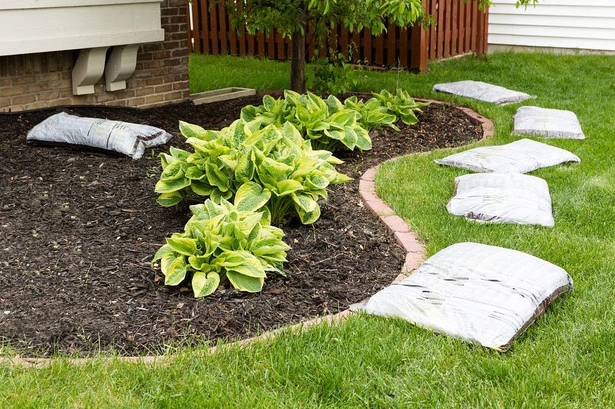 Mulch é qualquer material que é espalhado ou colocado sobre a superfície do solo como uma cobertura