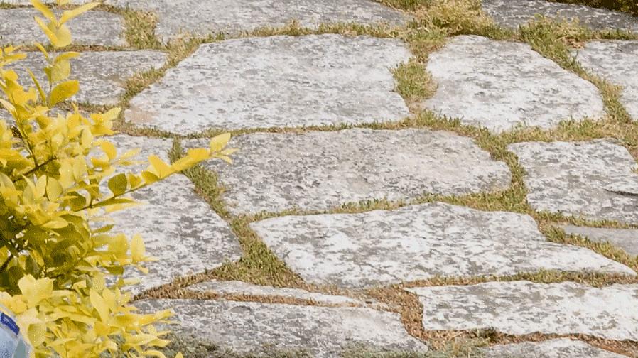 Bem como como permanecer seguro ao realizar projetos de paisagismo DIY