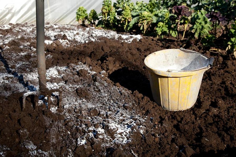 Pode ser escavado no solo ao redor da base das plantas para aumentar os níveis de enxofre no solo