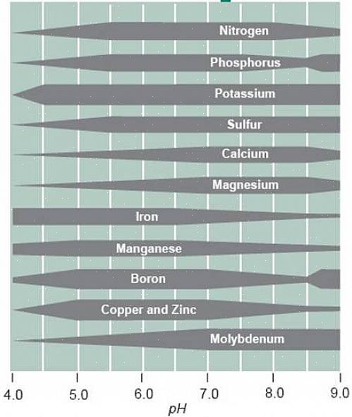 O pH ideal do solo para a maioria das plantas de paisagem