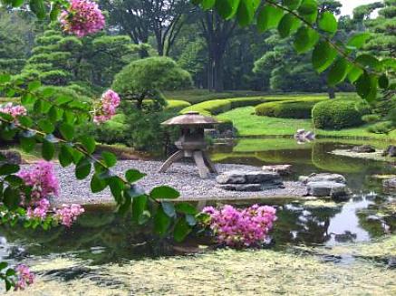 Fazer um jardim Zen é uma maneira de criar um espaço meditativo no quintal