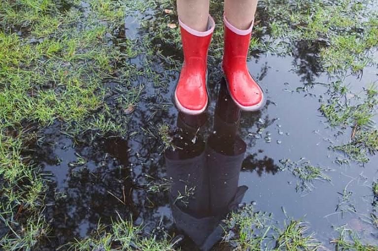 A regra geral para regar a relva geralmente é 2,5 cm de água por semana