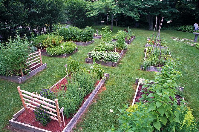 O icônico jardim de ervas de quatro quadrados pode exigir muita manutenção