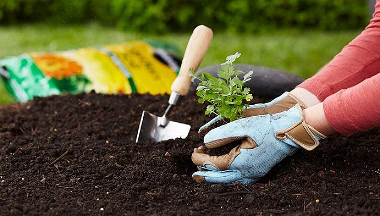 O pH do solo precisa estar dentro de uma faixa que permita às plantas acessar os nutrientes do solo