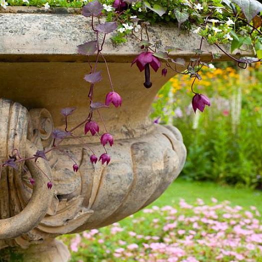 Cestos de flores pendurados para cada jardim