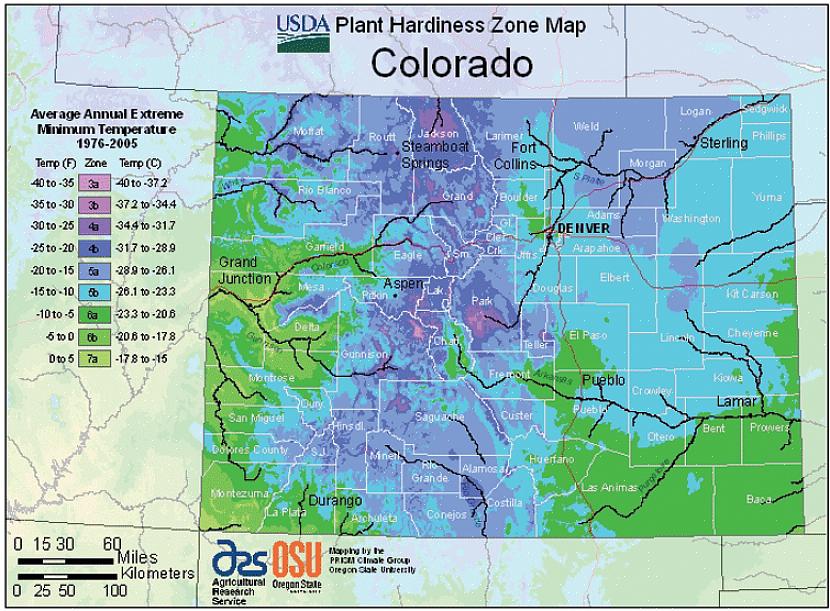 Você pode baixar o mapa no site do mapa de robustez da planta do USDA ou encontrar sua zona de robustez