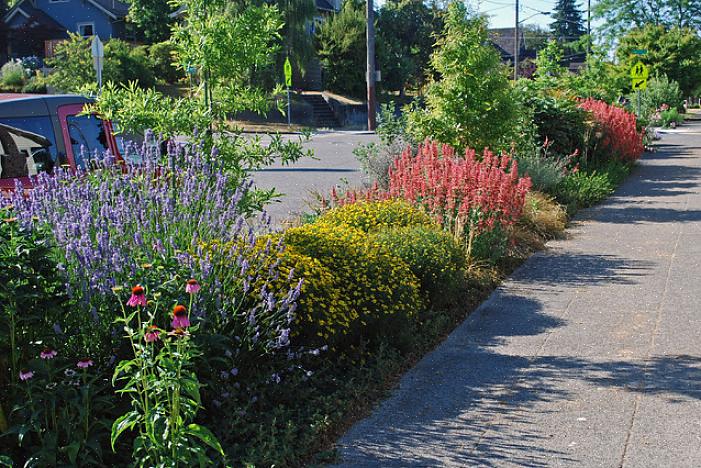 Pode se tornar o local de um jardim de flores de cair o queixo se você adotar a tendência de jardinagem