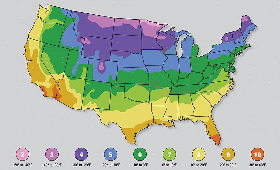 O mapa da zona de robustez de plantas do USDA é uma referência amplamente usada que ajuda jardineiros