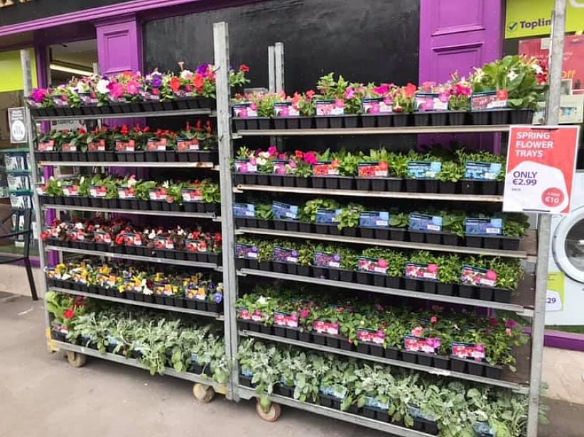 Outros tipos de plantas também podem desempenhar esse papel