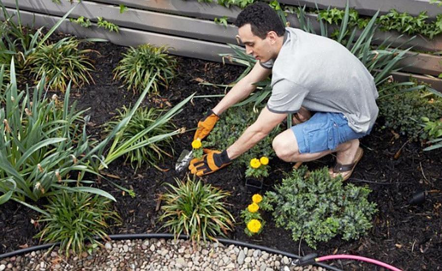 A primeira ideia inteligente em um projeto de controle de ervas daninhas sem produtos químicos em jardins