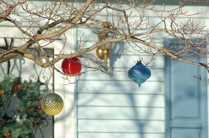 Arbustos são inúteis para a decoração de Natal