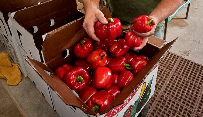 Muitos pequenos agricultores sobrevivem muito bem sem nunca vender seus produtos ou outros produtos