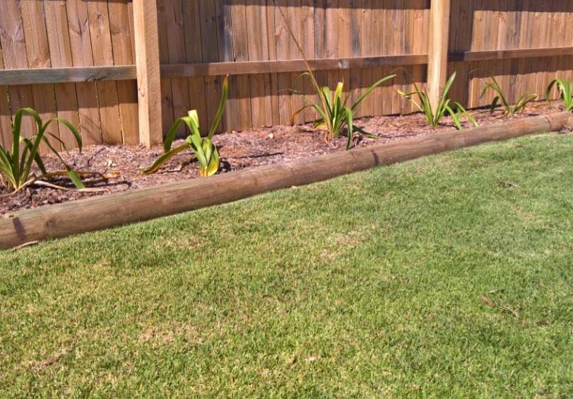 Eles têm efeito limitado como uma medida para prevenir o crescimento de gramíneas perenes em seu jardim