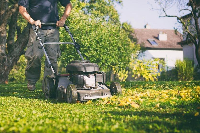 A alternativa para um cortador de grama é um cortador de grama que vem com um acessório de saco para coletar