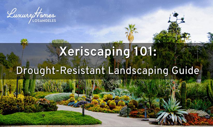 O paisagismo xeriscape significa simplesmente agrupar plantas com requisitos de irrigação semelhantes