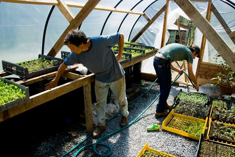 Um dos princípios básicos da jardinagem orgânica é "Alimente o solo