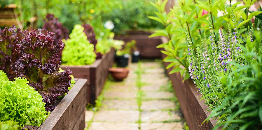 Visão geral Os jardins da vitória surgiram durante a Primeira