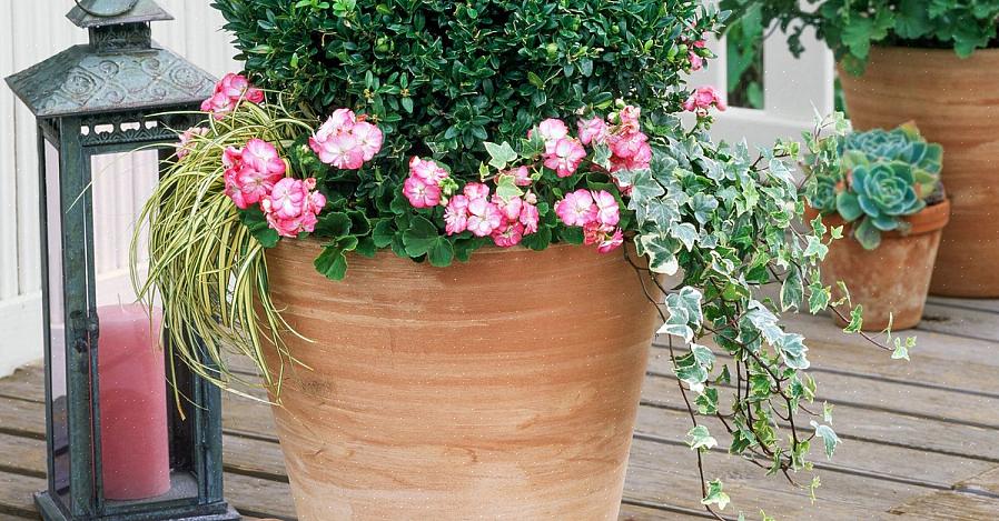 Os pés de vaso elevam os recipientes de plantas do deck ou pátio